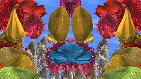 Forager Follies