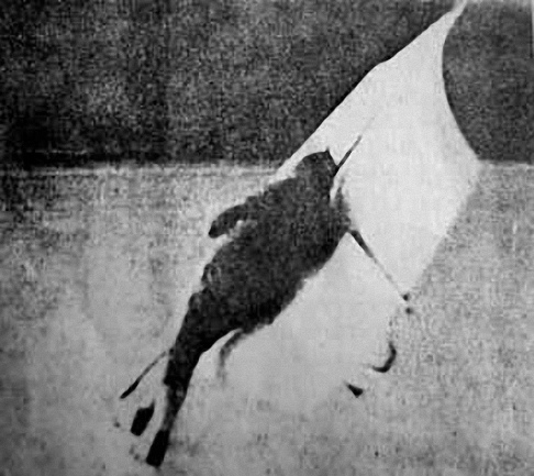 Vintage Skatesail